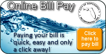 sopchoppy water bill pay